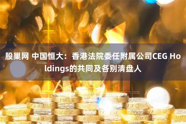 股巢网 中国恒大：香港法院委任附属公司CEG Holdings的共同及各别清盘人