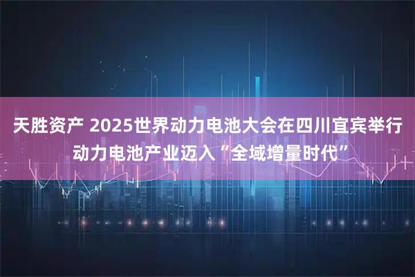 天胜资产 2025世界动力电池大会在四川宜宾举行 动力电池产业迈入“全域增量时代”