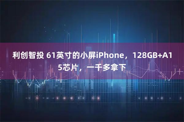 利创智投 61英寸的小屏iPhone，128GB+A15芯片，一千多拿下